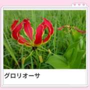 ヒメ日記 2024/12/18 18:04 投稿 山波幸 こあくまな熟女たち 上野・御徒町店 (KOAKUMAグループ)