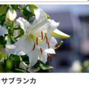 ヒメ日記 2024/12/21 18:09 投稿 山波幸 こあくまな熟女たち 上野・御徒町店 (KOAKUMAグループ)