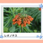 ヒメ日記 2024/12/28 16:32 投稿 山波幸 こあくまな熟女たち 上野・御徒町店 (KOAKUMAグループ)