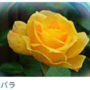 ヒメ日記 2025/01/12 17:04 投稿 山波幸 こあくまな熟女たち 上野・御徒町店 (KOAKUMAグループ)