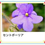 ヒメ日記 2025/01/17 17:12 投稿 山波幸 こあくまな熟女たち 上野・御徒町店 (KOAKUMAグループ)