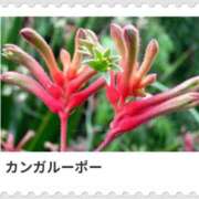 ヒメ日記 2025/02/05 17:06 投稿 山波幸 こあくまな熟女たち 上野・御徒町店 (KOAKUMAグループ)