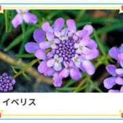 ヒメ日記 2025/02/11 17:53 投稿 山波幸 こあくまな熟女たち 上野・御徒町店 (KOAKUMAグループ)