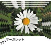 ヒメ日記 2025/02/20 17:14 投稿 山波幸 こあくまな熟女たち 上野・御徒町店 (KOAKUMAグループ)