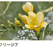 ヒメ日記 2025/02/28 17:15 投稿 山波幸 こあくまな熟女たち 上野・御徒町店 (KOAKUMAグループ)