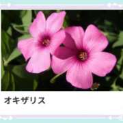 ヒメ日記 2025/03/02 17:16 投稿 山波幸 こあくまな熟女たち 上野・御徒町店 (KOAKUMAグループ)