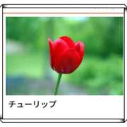 ヒメ日記 2025/03/04 17:08 投稿 山波幸 こあくまな熟女たち 上野・御徒町店 (KOAKUMAグループ)