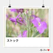 ヒメ日記 2025/03/05 17:28 投稿 山波幸 こあくまな熟女たち 上野・御徒町店 (KOAKUMAグループ)