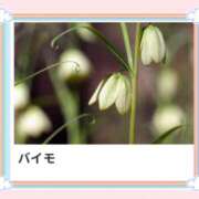 ヒメ日記 2025/03/08 18:26 投稿 山波幸 こあくまな熟女たち 上野・御徒町店 (KOAKUMAグループ)