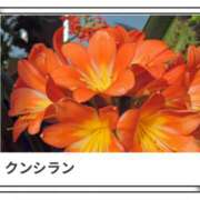 ヒメ日記 2025/03/11 17:06 投稿 山波幸 こあくまな熟女たち 上野・御徒町店 (KOAKUMAグループ)