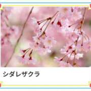 ヒメ日記 2025/03/26 17:19 投稿 山波幸 こあくまな熟女たち 上野・御徒町店 (KOAKUMAグループ)