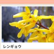 ヒメ日記 2025/04/11 17:25 投稿 山波幸 こあくまな熟女たち 上野・御徒町店 (KOAKUMAグループ)