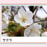 ヒメ日記 2025/04/13 17:17 投稿 山波幸 こあくまな熟女たち 上野・御徒町店 (KOAKUMAグループ)