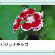 ヒメ日記 2025/04/25 18:20 投稿 山波幸 こあくまな熟女たち 上野・御徒町店 (KOAKUMAグループ)