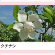 ヒメ日記 2025/04/29 17:22 投稿 山波幸 こあくまな熟女たち 上野・御徒町店 (KOAKUMAグループ)