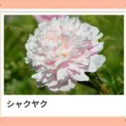 ヒメ日記 2025/05/02 18:29 投稿 山波幸 こあくまな熟女たち 上野・御徒町店 (KOAKUMAグループ)