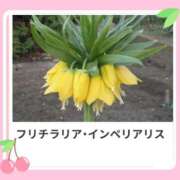 ヒメ日記 2025/05/04 17:29 投稿 山波幸 こあくまな熟女たち 上野・御徒町店 (KOAKUMAグループ)