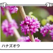 ヒメ日記 2025/05/06 17:02 投稿 山波幸 こあくまな熟女たち 上野・御徒町店 (KOAKUMAグループ)