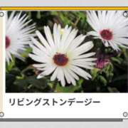 ヒメ日記 2025/05/07 17:39 投稿 山波幸 こあくまな熟女たち 上野・御徒町店 (KOAKUMAグループ)
