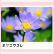 ヒメ日記 2025/05/13 17:08 投稿 山波幸 こあくまな熟女たち 上野・御徒町店 (KOAKUMAグループ)