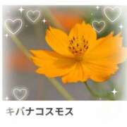 ヒメ日記 2025/05/18 17:08 投稿 山波幸 こあくまな熟女たち 上野・御徒町店 (KOAKUMAグループ)