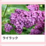 ヒメ日記 2025/06/11 17:29 投稿 山波幸 こあくまな熟女たち 上野・御徒町店 (KOAKUMAグループ)