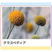 ヒメ日記 2025/06/25 17:55 投稿 山波幸 こあくまな熟女たち 上野・御徒町店 (KOAKUMAグループ)