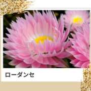 ヒメ日記 2025/06/27 17:38 投稿 山波幸 こあくまな熟女たち 上野・御徒町店 (KOAKUMAグループ)