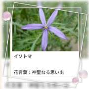 ヒメ日記 2025/07/15 17:00 投稿 山波幸 こあくまな熟女たち 上野・御徒町店 (KOAKUMAグループ)