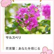 ヒメ日記 2025/07/18 17:22 投稿 山波幸 こあくまな熟女たち 上野・御徒町店 (KOAKUMAグループ)