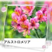 ヒメ日記 2025/08/01 17:05 投稿 山波幸 こあくまな熟女たち 上野・御徒町店 (KOAKUMAグループ)