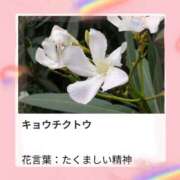 ヒメ日記 2025/08/03 17:58 投稿 山波幸 こあくまな熟女たち 上野・御徒町店 (KOAKUMAグループ)