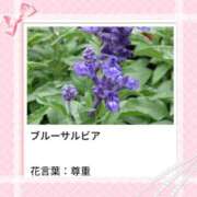 ヒメ日記 2025/08/10 18:47 投稿 山波幸 こあくまな熟女たち 上野・御徒町店 (KOAKUMAグループ)