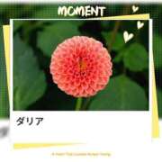 ヒメ日記 2025/08/17 17:13 投稿 山波幸 こあくまな熟女たち 上野・御徒町店 (KOAKUMAグループ)