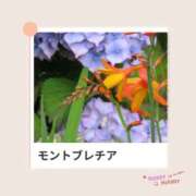 ヒメ日記 2025/08/24 17:03 投稿 山波幸 こあくまな熟女たち 上野・御徒町店 (KOAKUMAグループ)