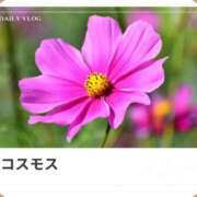 ヒメ日記 2025/09/03 17:03 投稿 山波幸 こあくまな熟女たち 上野・御徒町店 (KOAKUMAグループ)