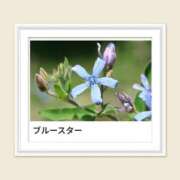 ヒメ日記 2025/09/07 18:01 投稿 山波幸 こあくまな熟女たち 上野・御徒町店 (KOAKUMAグループ)