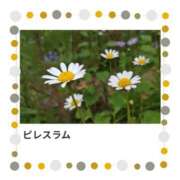 ヒメ日記 2025/09/23 17:14 投稿 山波幸 こあくまな熟女たち 上野・御徒町店 (KOAKUMAグループ)