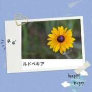 ヒメ日記 2025/09/24 16:59 投稿 山波幸 こあくまな熟女たち 上野・御徒町店 (KOAKUMAグループ)