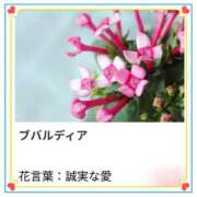 ヒメ日記 2025/10/10 17:13 投稿 山波幸 こあくまな熟女たち 上野・御徒町店 (KOAKUMAグループ)