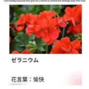 ヒメ日記 2025/10/12 17:42 投稿 山波幸 こあくまな熟女たち 上野・御徒町店 (KOAKUMAグループ)