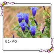 ヒメ日記 2025/10/13 17:07 投稿 山波幸 こあくまな熟女たち 上野・御徒町店 (KOAKUMAグループ)