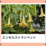 ヒメ日記 2025/10/19 17:06 投稿 山波幸 こあくまな熟女たち 上野・御徒町店 (KOAKUMAグループ)