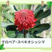 ヒメ日記 2025/10/22 17:05 投稿 山波幸 こあくまな熟女たち 上野・御徒町店 (KOAKUMAグループ)