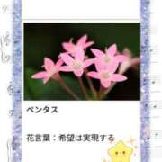 ヒメ日記 2025/11/05 17:11 投稿 山波幸 こあくまな熟女たち 上野・御徒町店 (KOAKUMAグループ)