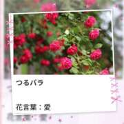 ヒメ日記 2025/11/09 17:08 投稿 山波幸 こあくまな熟女たち 上野・御徒町店 (KOAKUMAグループ)