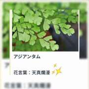 ヒメ日記 2025/11/11 17:11 投稿 山波幸 こあくまな熟女たち 上野・御徒町店 (KOAKUMAグループ)