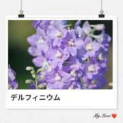 ヒメ日記 2025/11/14 17:10 投稿 山波幸 こあくまな熟女たち 上野・御徒町店 (KOAKUMAグループ)