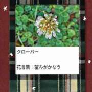 ヒメ日記 2025/11/16 18:17 投稿 山波幸 こあくまな熟女たち 上野・御徒町店 (KOAKUMAグループ)