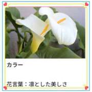 ヒメ日記 2025/11/26 17:09 投稿 山波幸 こあくまな熟女たち 上野・御徒町店 (KOAKUMAグループ)